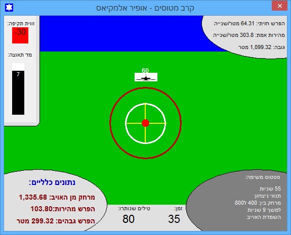 Flight Simulator